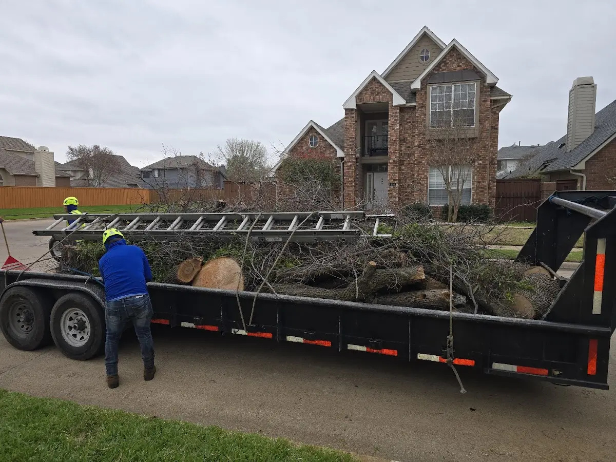Expert Lot Clearing with proper safety equipment in New Haven